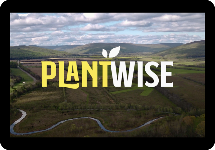 Plantwise documentary Picture with link